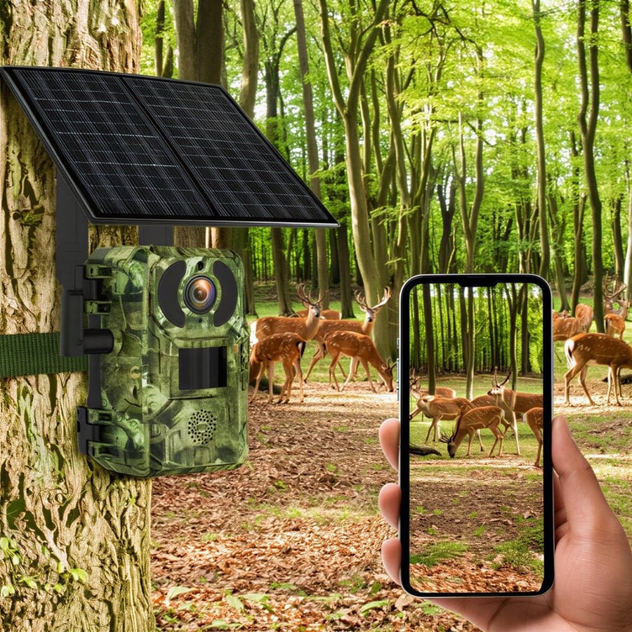 Caméra de chasse 4G solaire 4K
